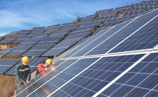 Dự án: Kinh tế nông nghiệp Công nghệ cao kết hợp Điện năng lượng mặt trời áp mái 3T